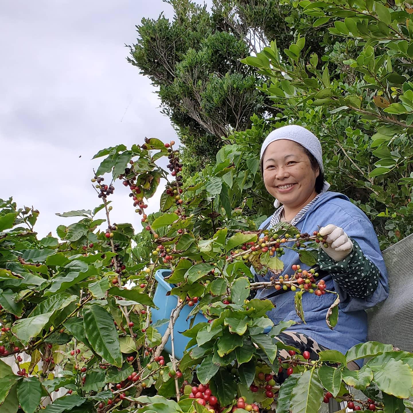 コーヒー農園オーナー「山下さつき」さん-1