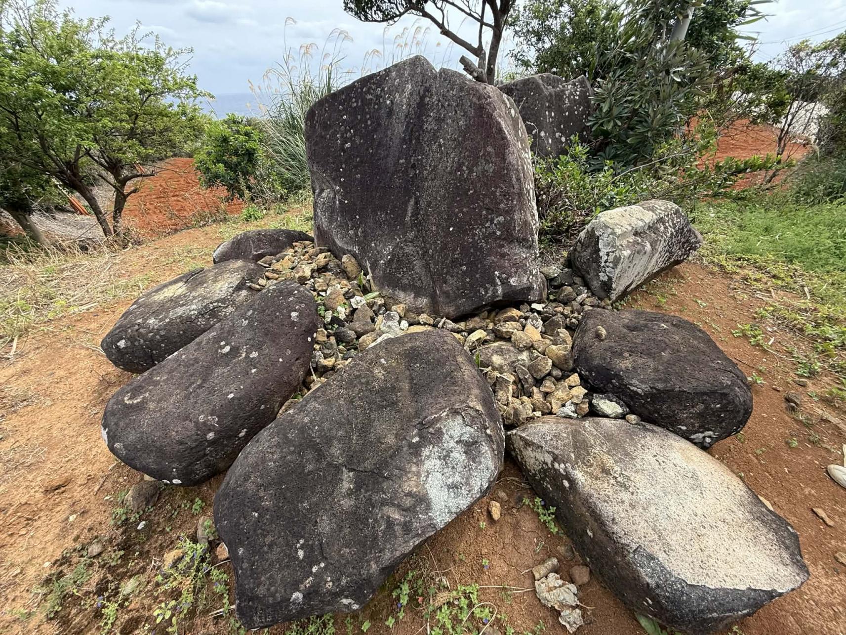 国頭シニグドー-1