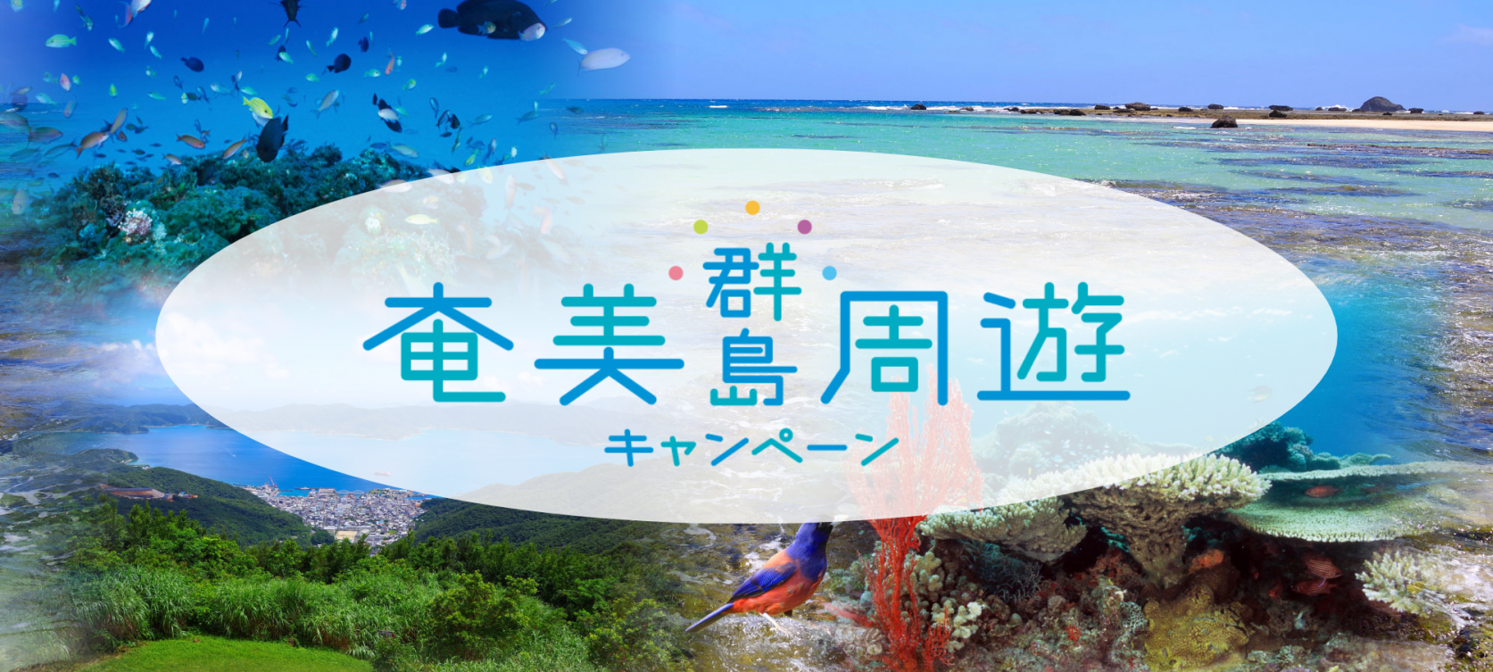 一島めぐりも二島めぐりも!最大20,000円引きとなる奄美群島しまめぐり割-1