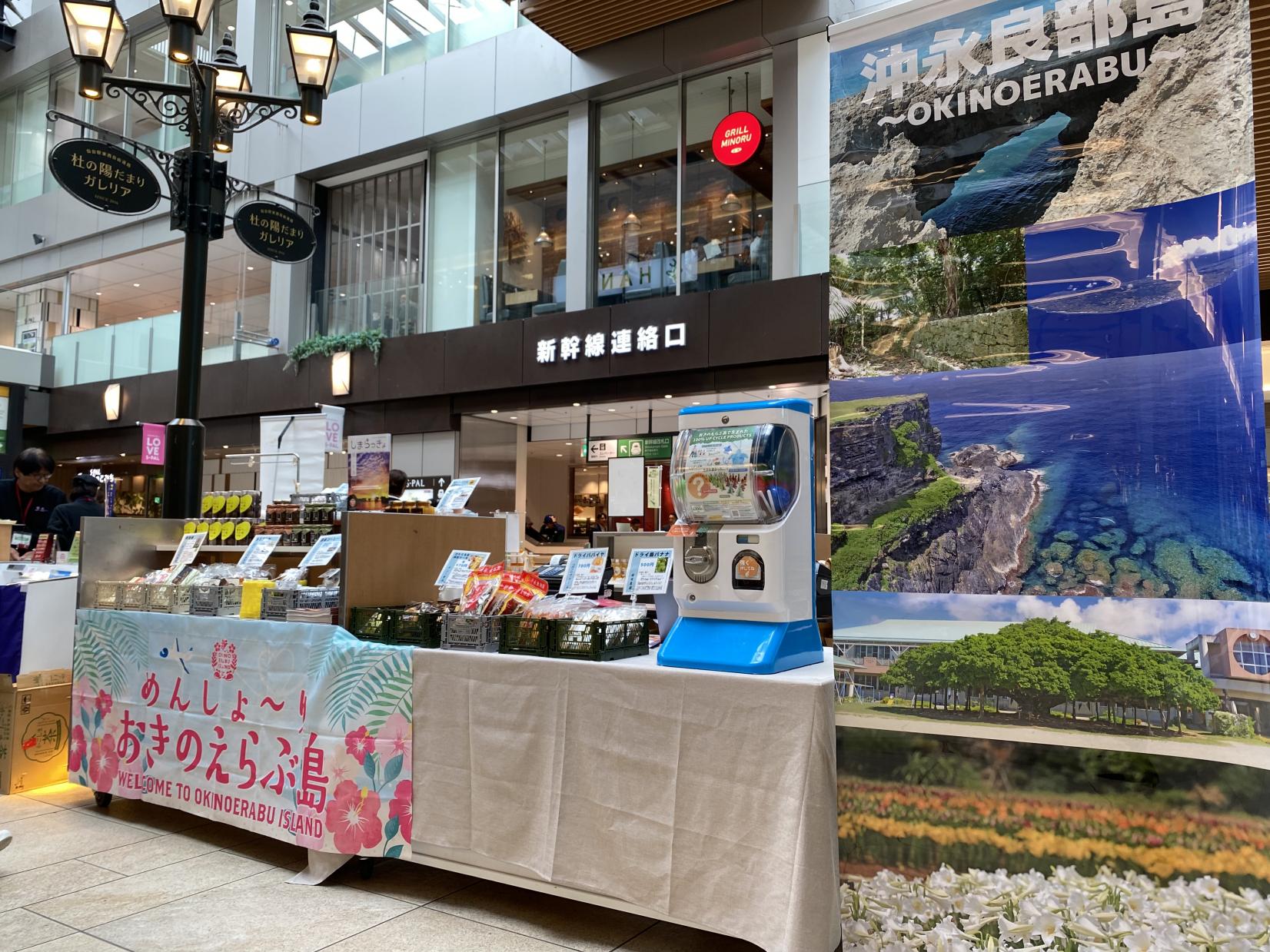 【物産展&イベント情報】島の”おいしい＆ステキ”が大集合！-0