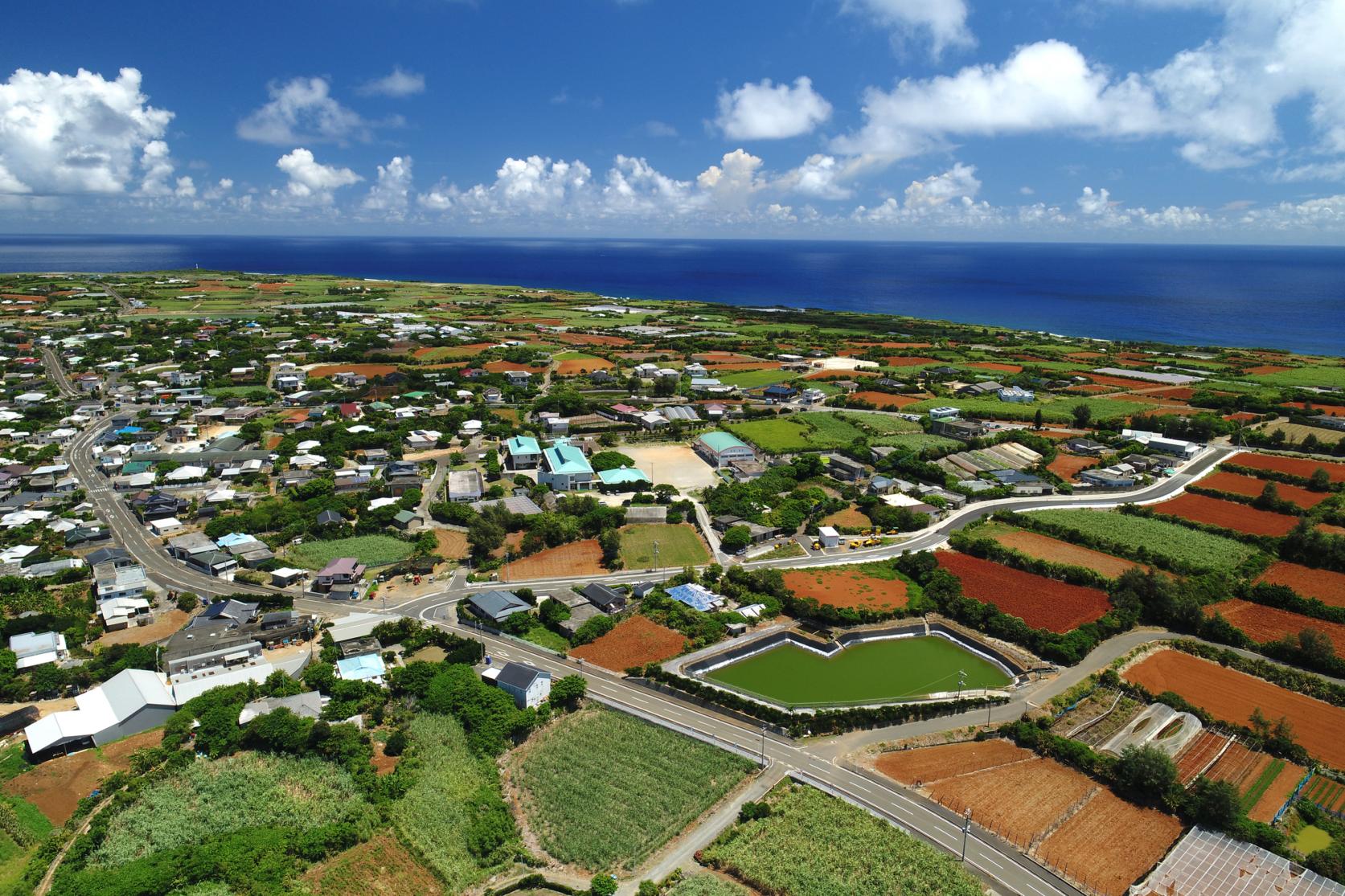 えらぶんちゅ島むに（方言）図鑑-1