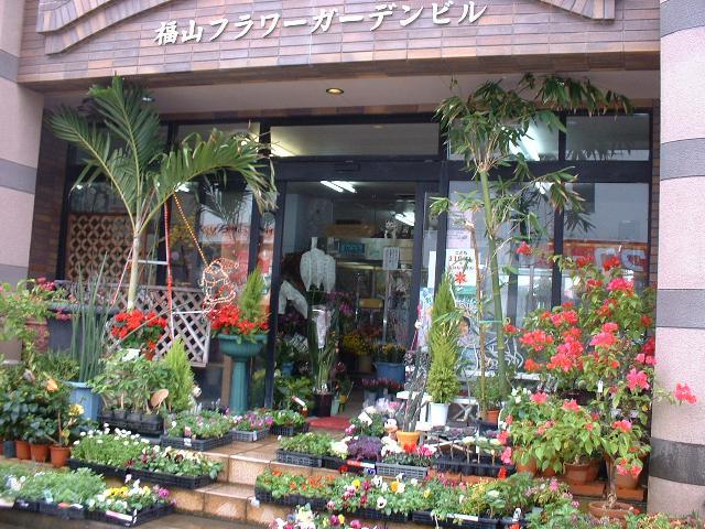 福山花店-1