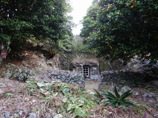 アーニマガヤトゥール墓-6