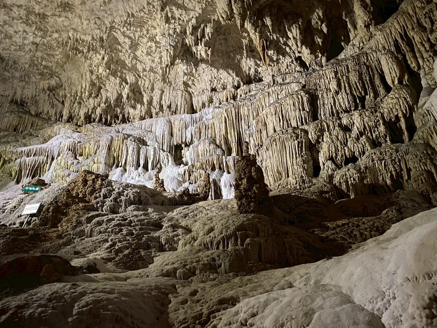 南の島の奇跡を歩く、昇竜洞ガイドツアー-1