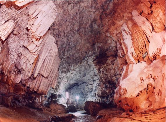 南の島の奇跡を歩く、昇竜洞ガイドツアー-6