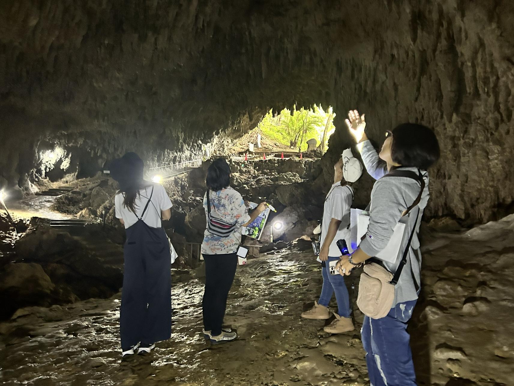 南の島の奇跡を歩く、昇竜洞ガイドツアー-3