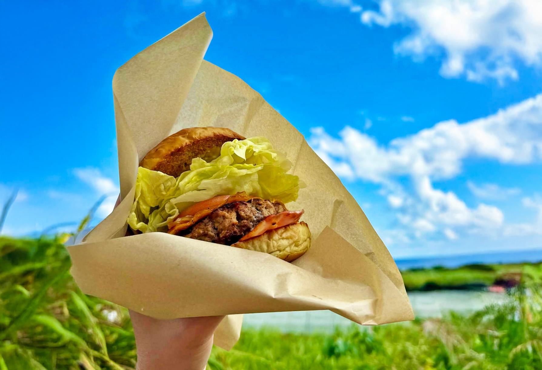 バーガーまるふじ-1