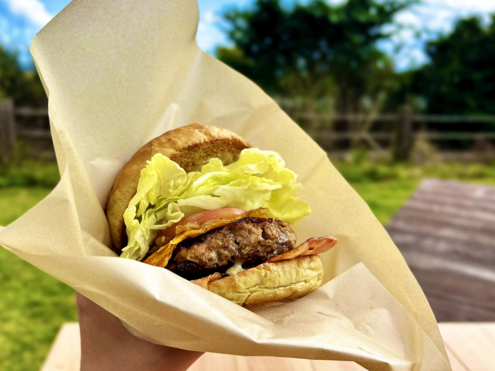 バーガーまるふじ-3