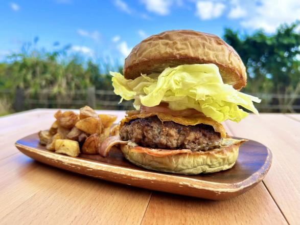 バーガーまるふじ-2