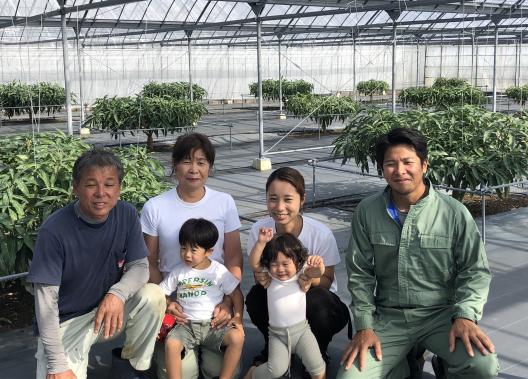 田中マンゴー園-0