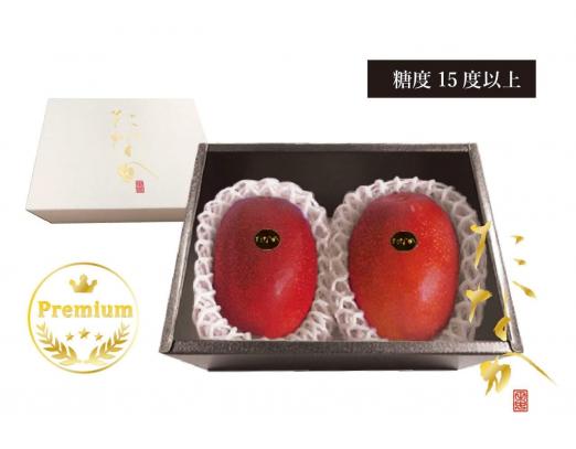 田中マンゴー園-2