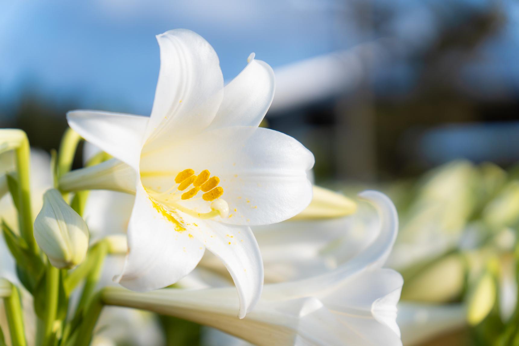和泊商工会飲食店一覧-1