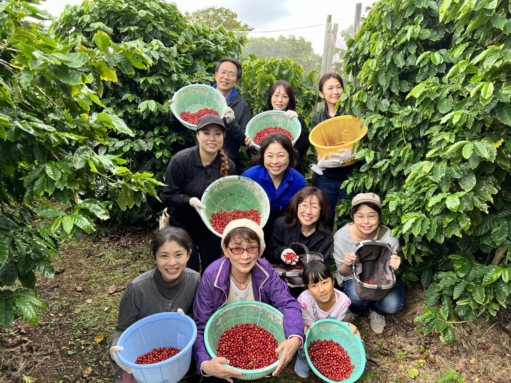 Noah coffee コーヒー農園見学ツアー-2